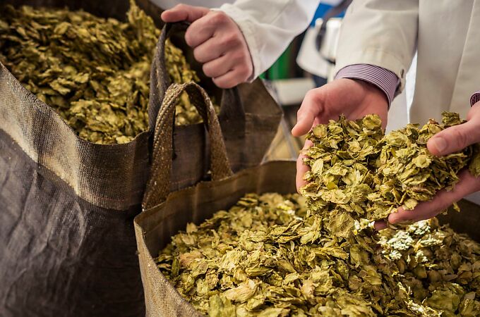 Cask ale: Britain’s original craft beer